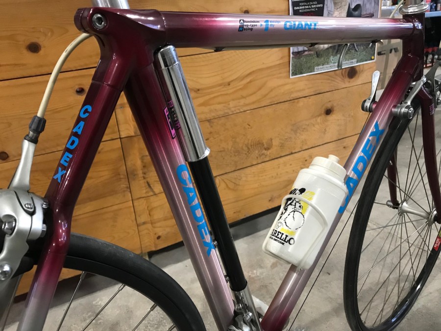 giant cadex alr1